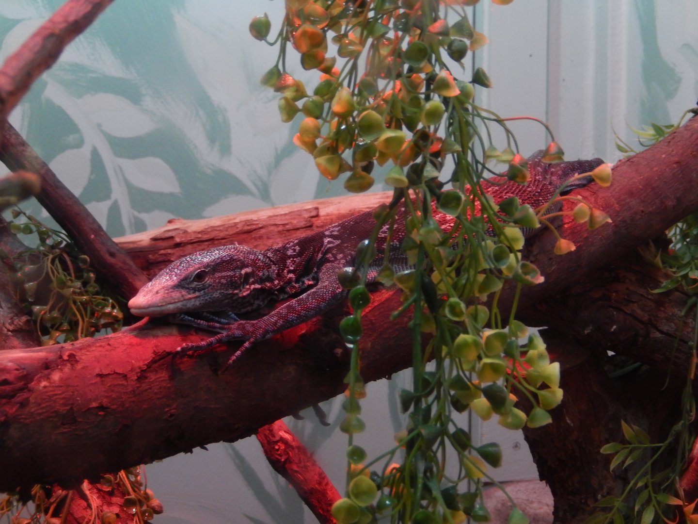 5/2/2018 - Blue Tree Monitor