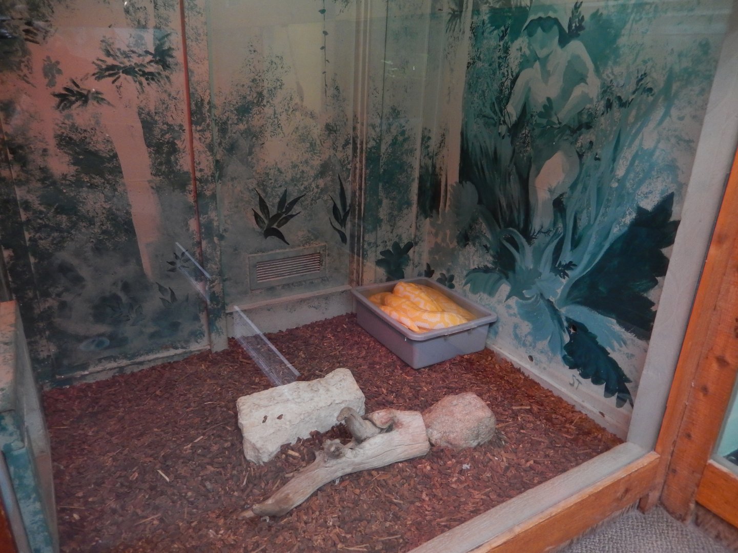 5/2/2018 - Burmese Python Exhibit (1 of 2)