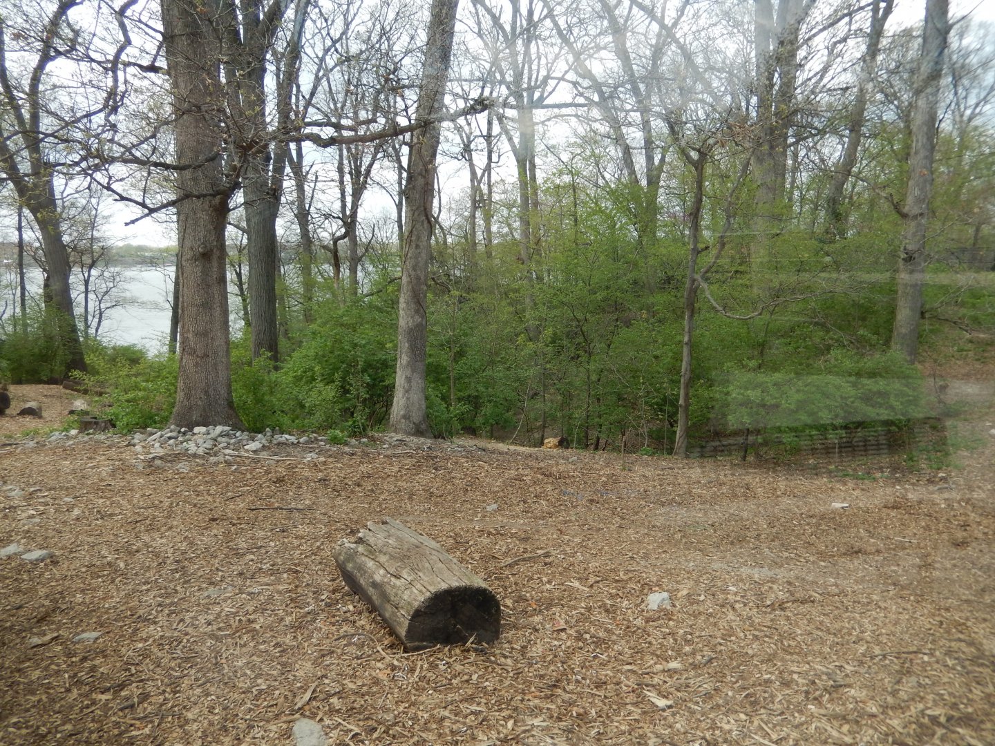 5/2/2018 - Gray Wolf Habitat