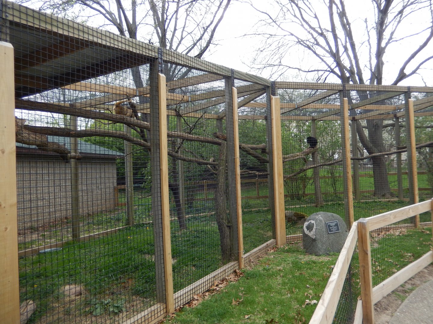 5/2/2018 - Howler Monkey Exhibit