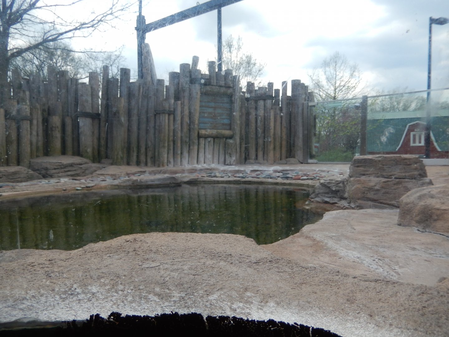 5/2/2018 - Humboldt Penguin Habitat (Right Half)