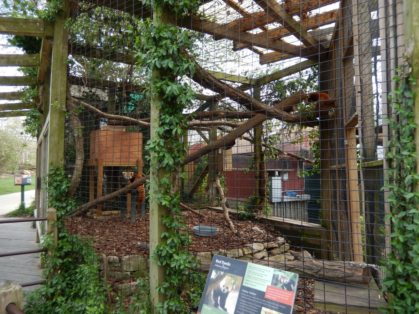 5/2/2018 - Red Panda Habitat (Left Half)