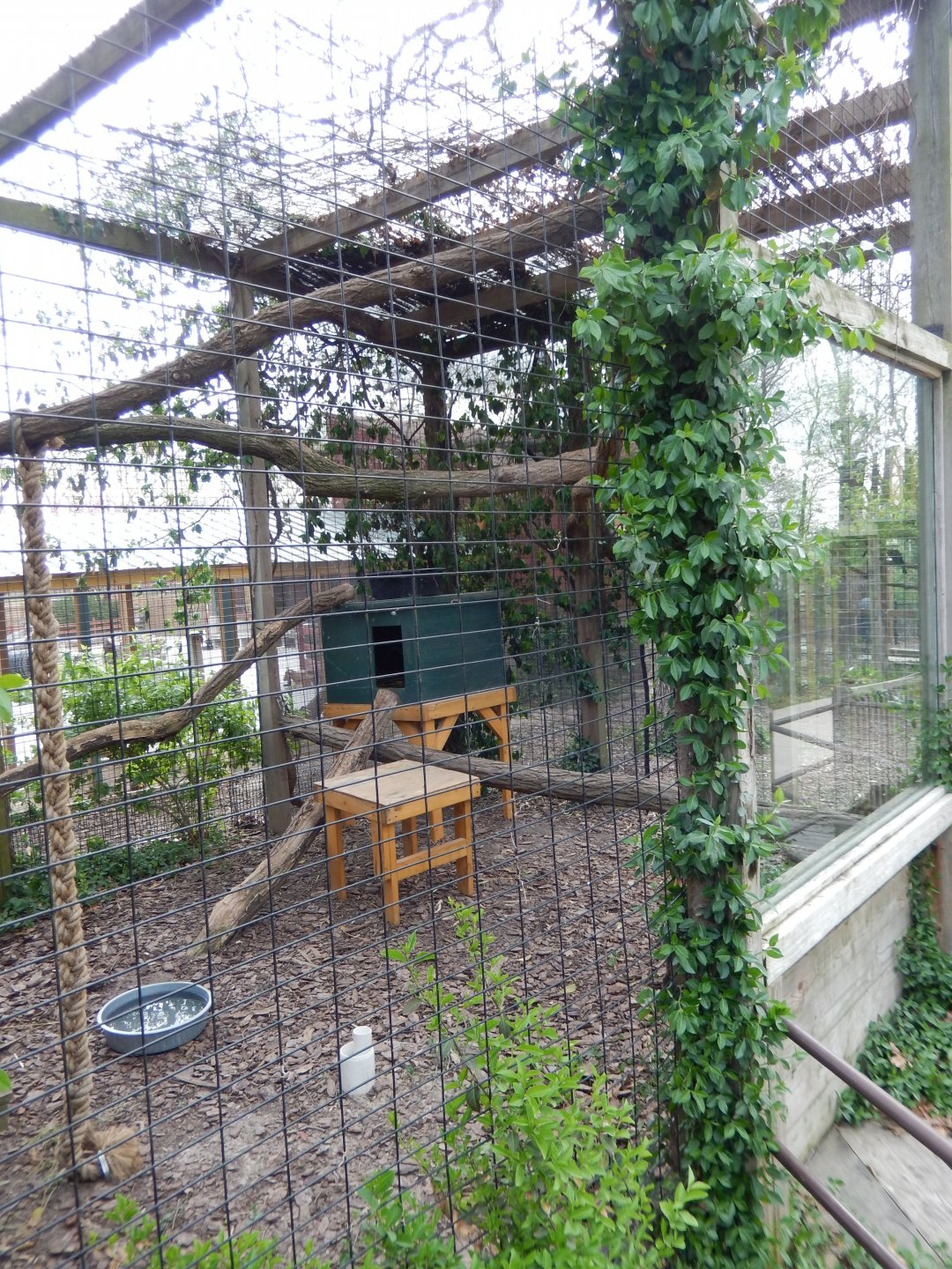 5/2/2018 - Red Panda Habitat (Right Half)