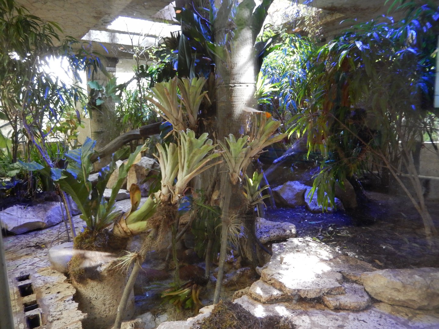 5/20/2018 - Mayan Temple