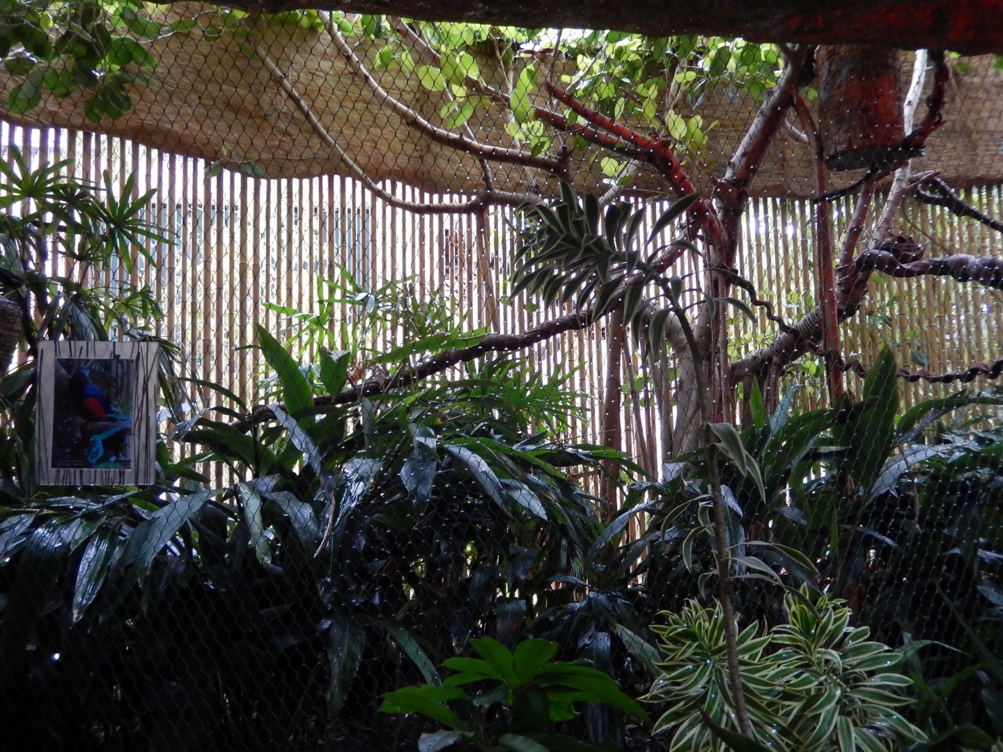 5/20/2018 - Mixed-Species Habitat