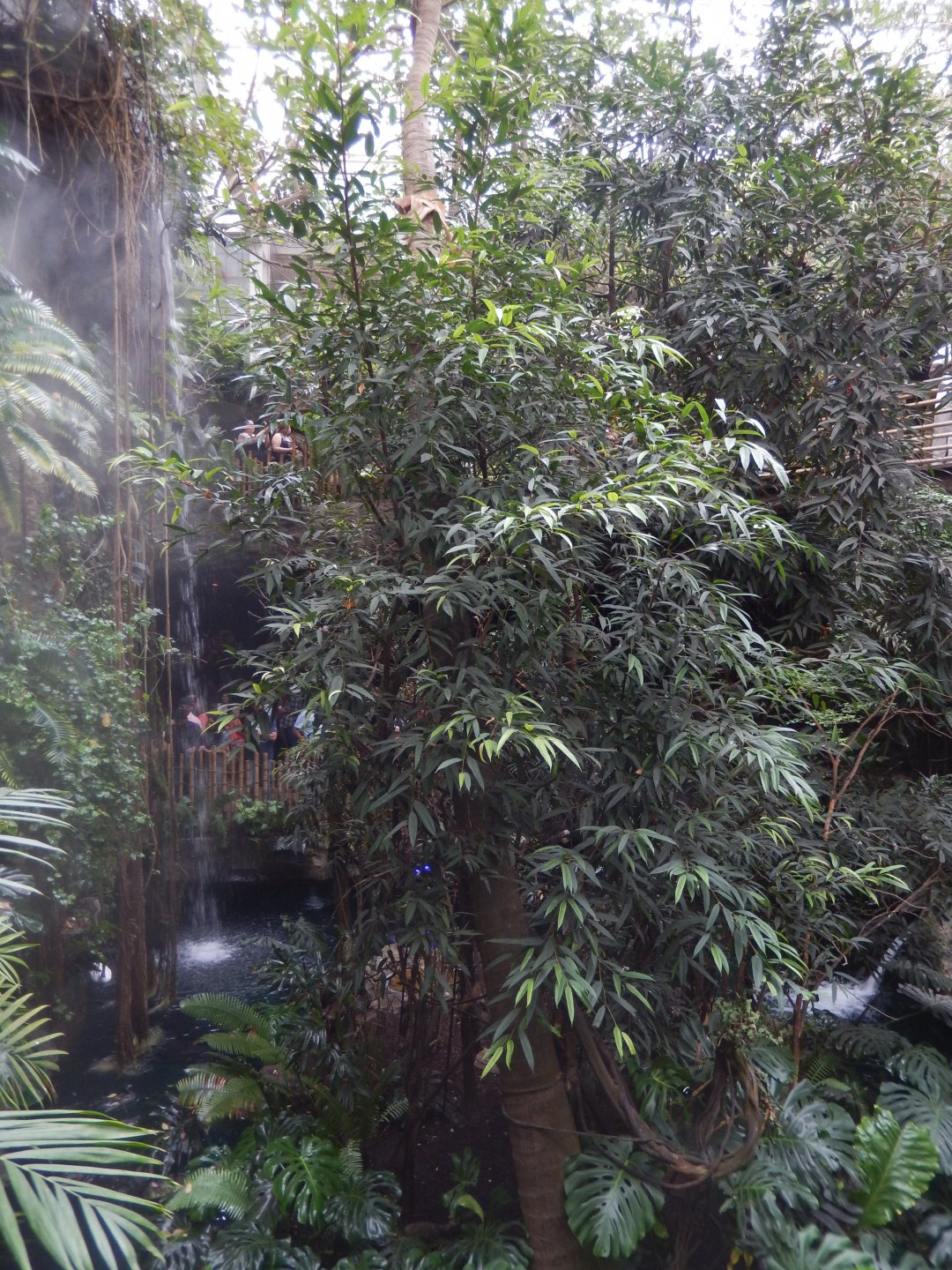 5/20/2018 - Monkey Island