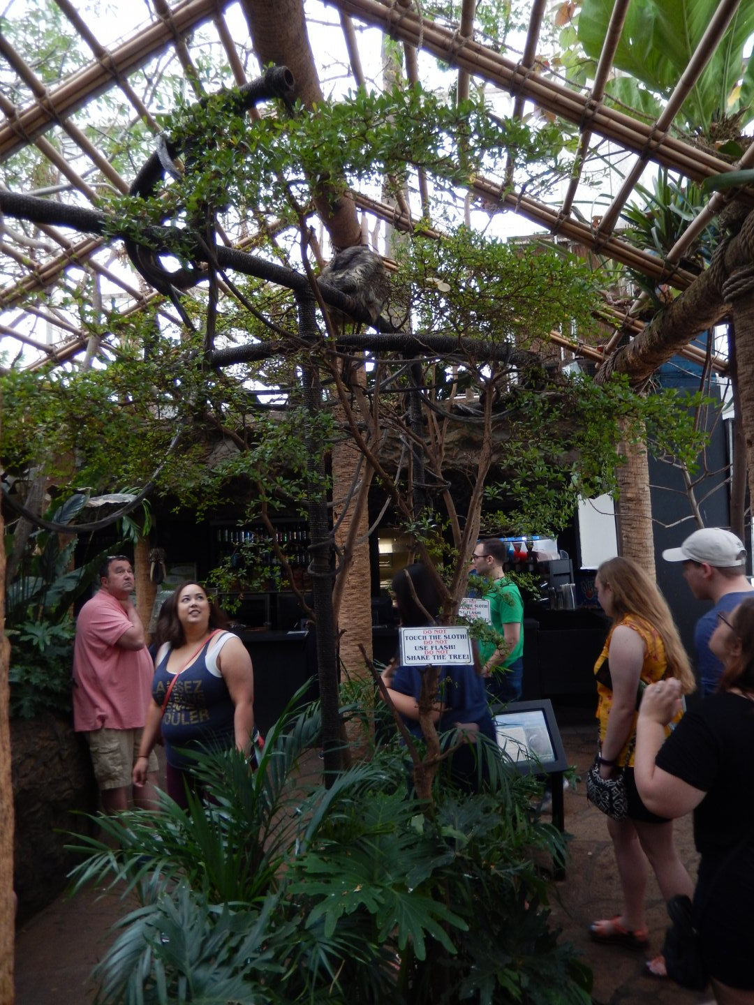 5/20/2018 - Sloth Forest