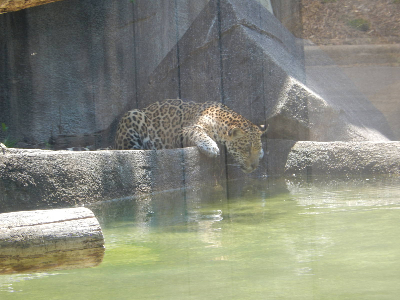 5/21/2015 - Gone Fishing