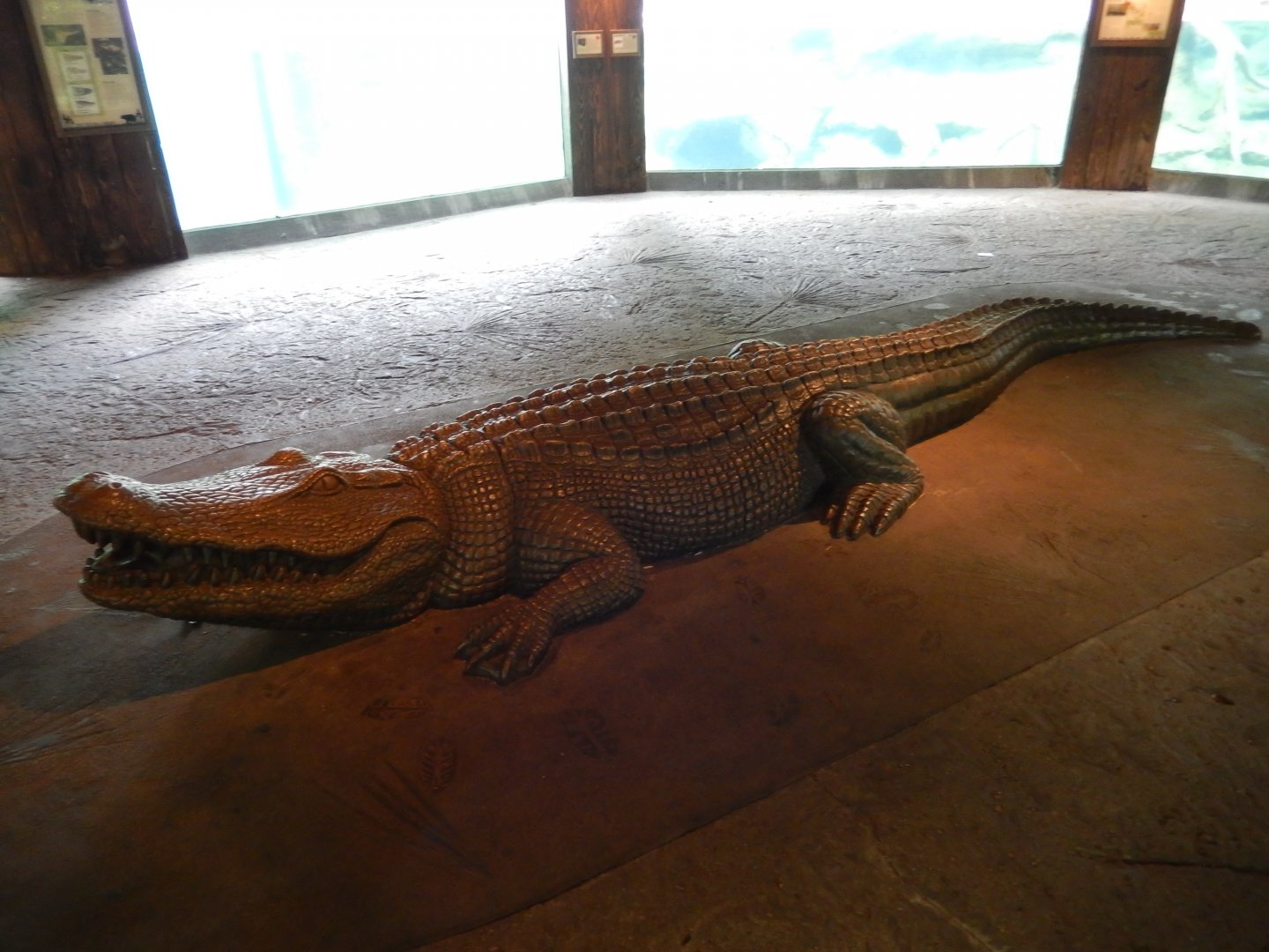 5/21/2018 - American Alligator Statue