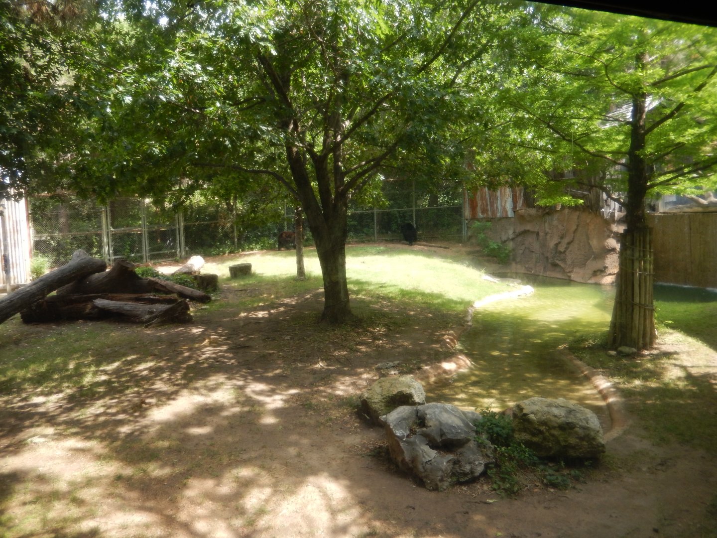 5/21/2018 - American Black Bear Exhibit (Second View)