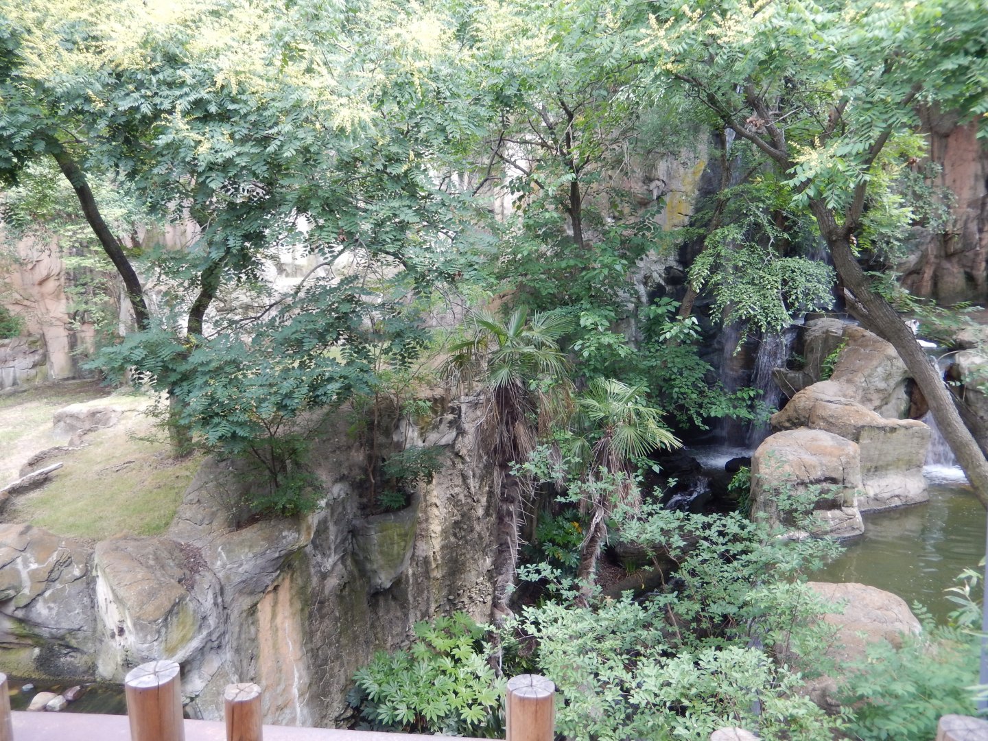 5/21/2018 - Beautiful Tiger Moat