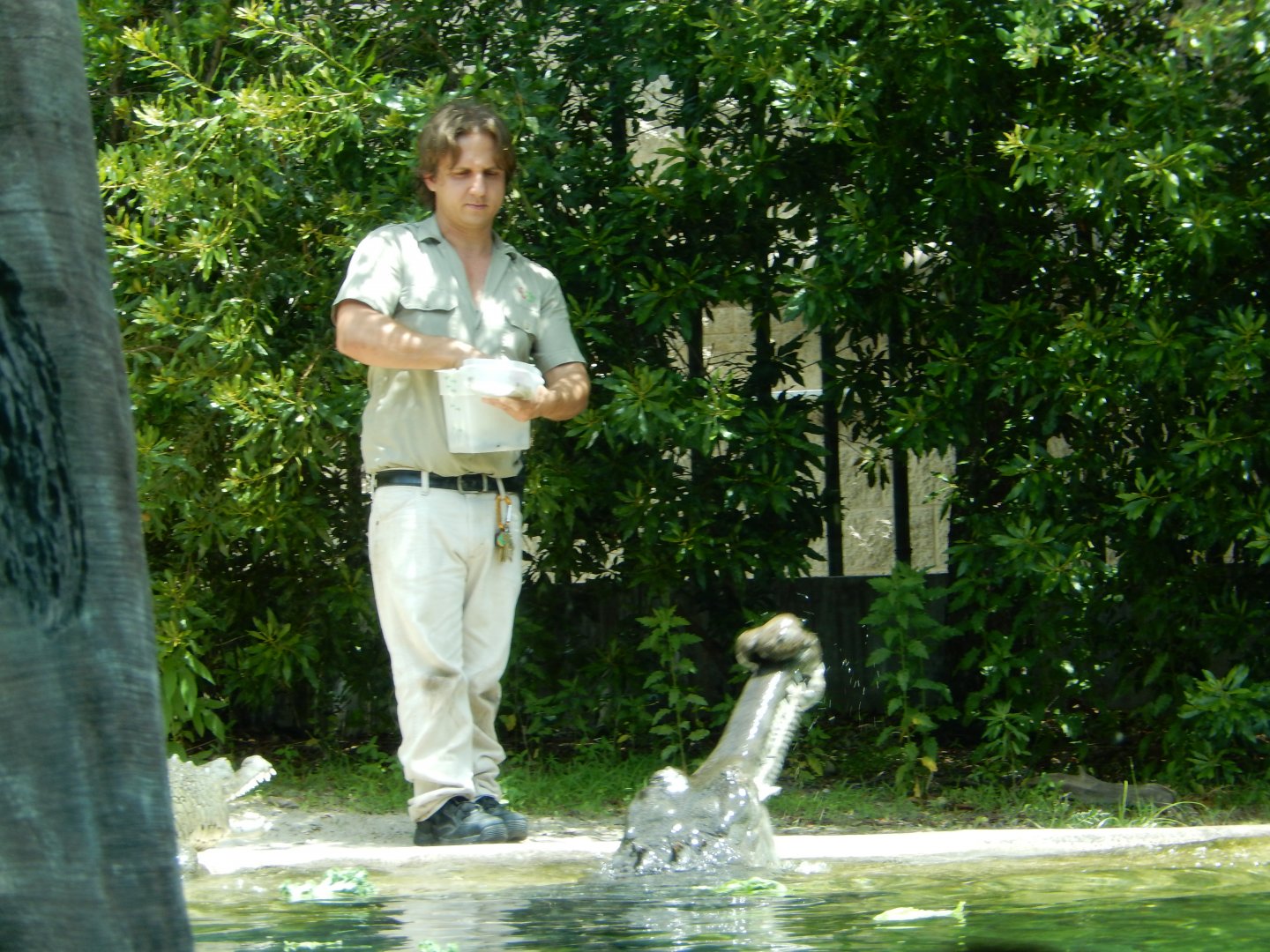 5/21/2018 - Feeding Time!