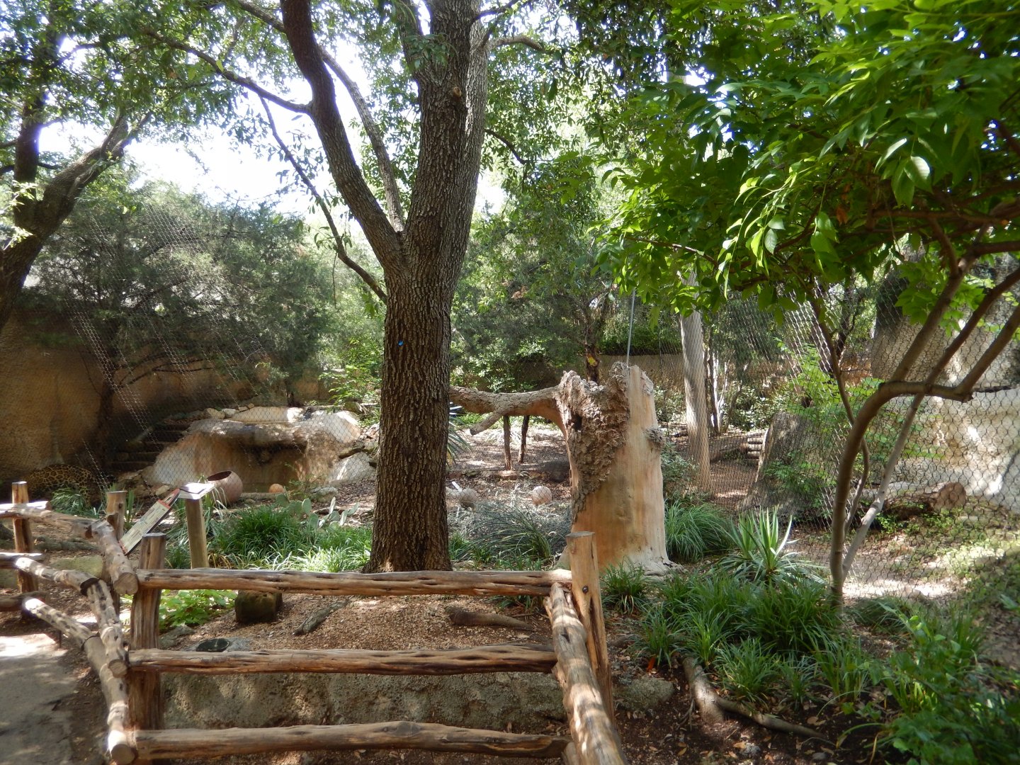 5/21/2018 - Jaguar Habitat (Left Half)