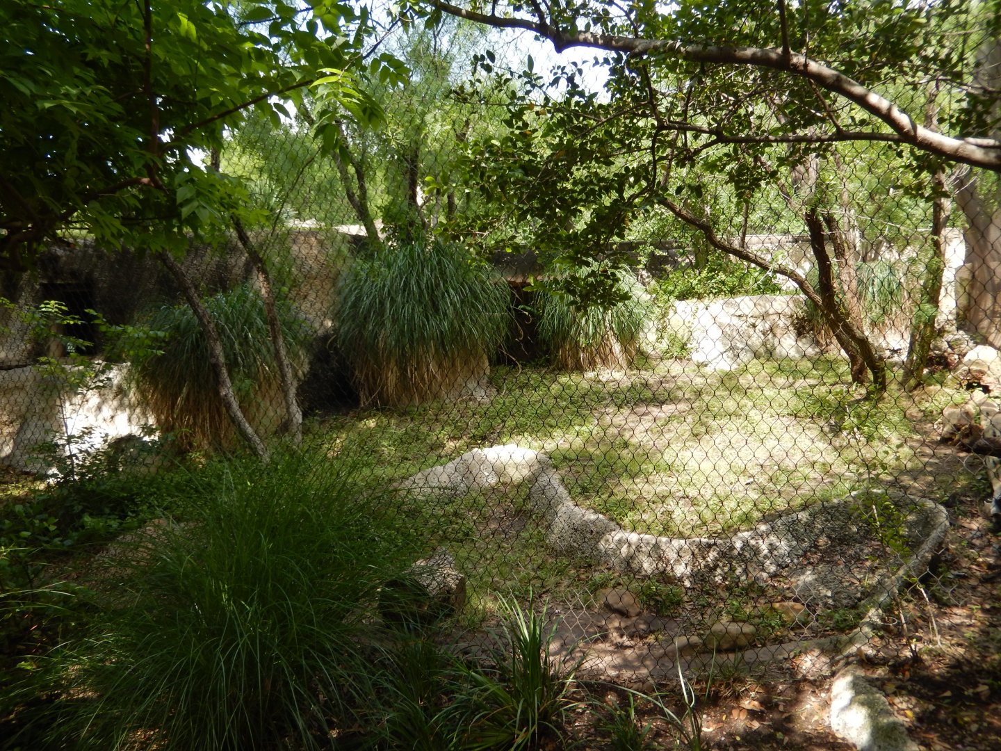 5/21/2018 - Jaguar Habitat (Right Half)