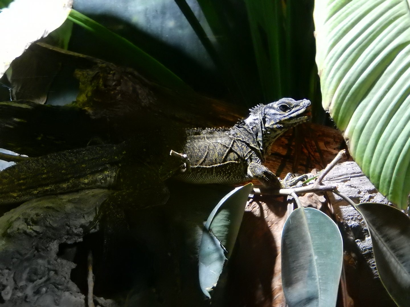 5/21/2018 - Light Side vs. Dark Side