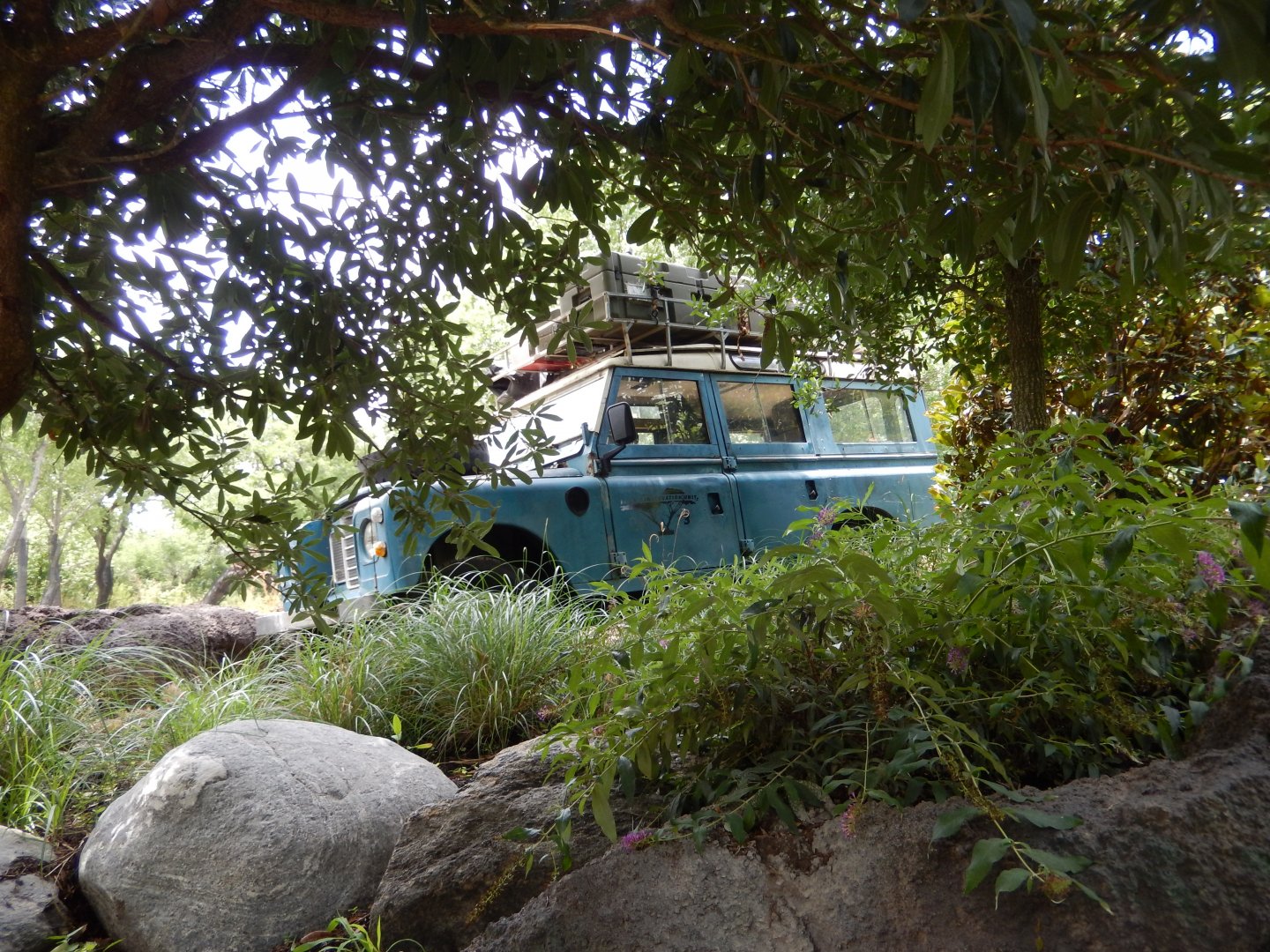 5/21/2018 - Safari Jeep