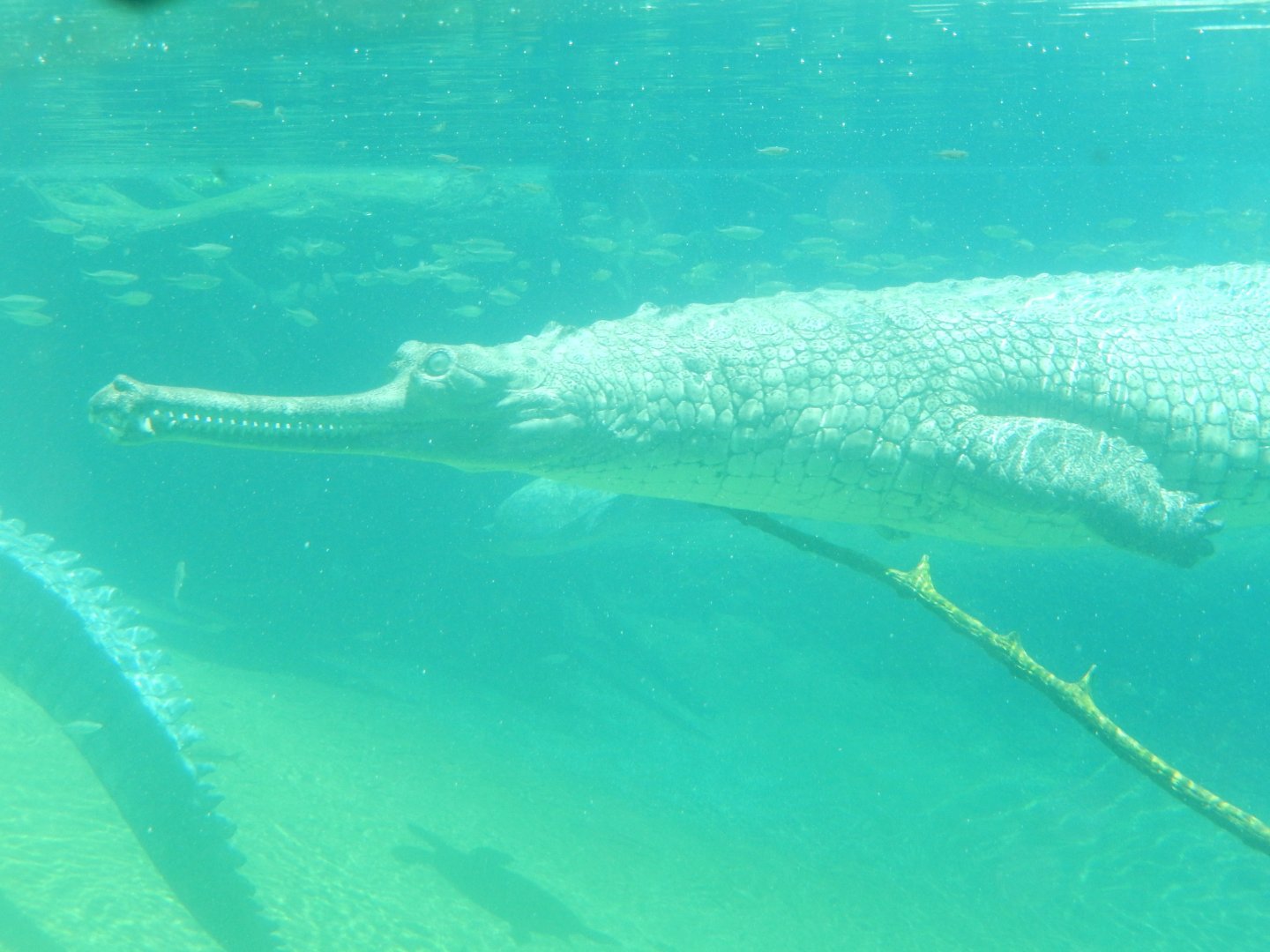 5/21/2018 - Submerged