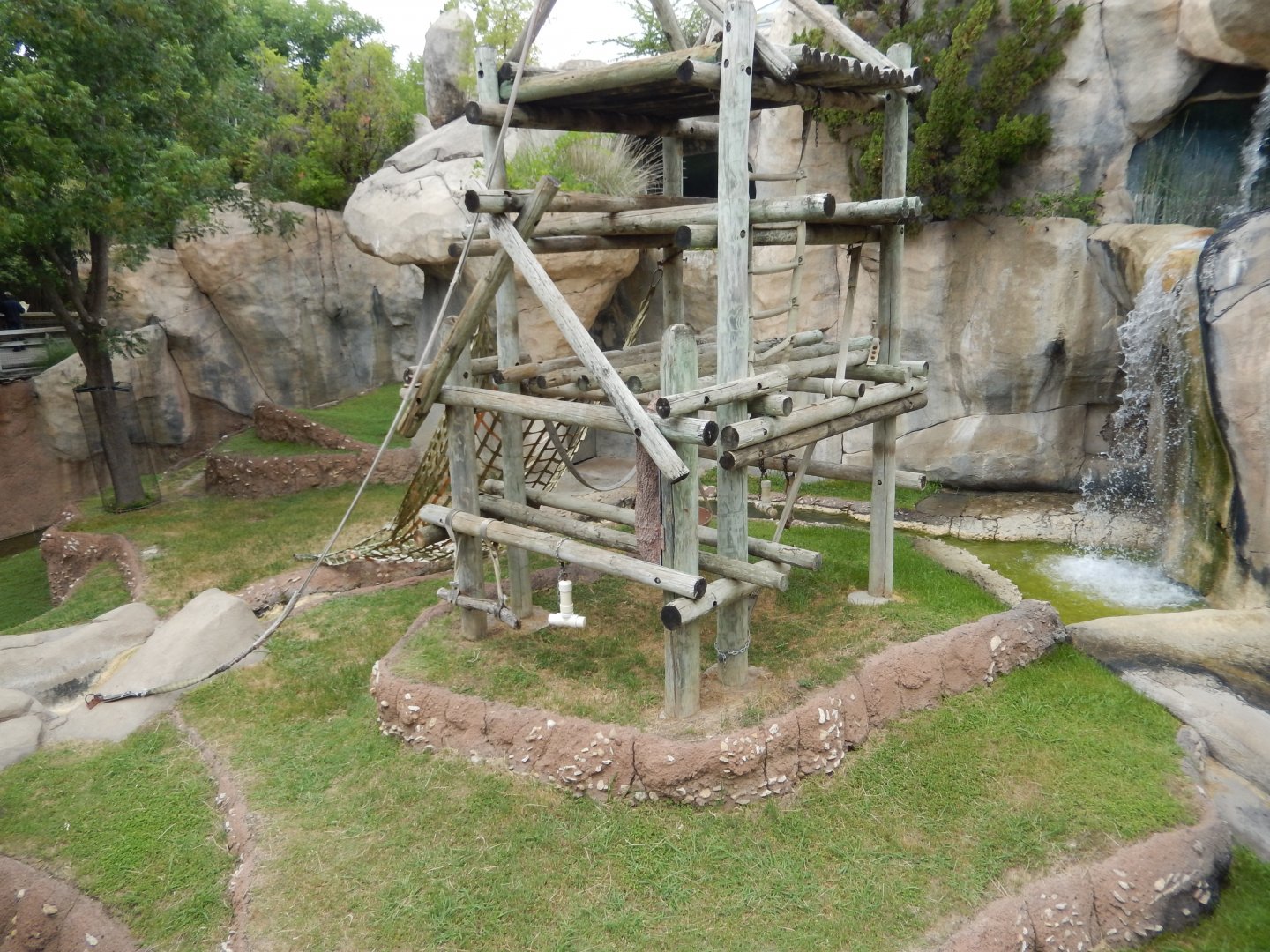 5/21/2018 - Sumatran Orangutan Exhibit