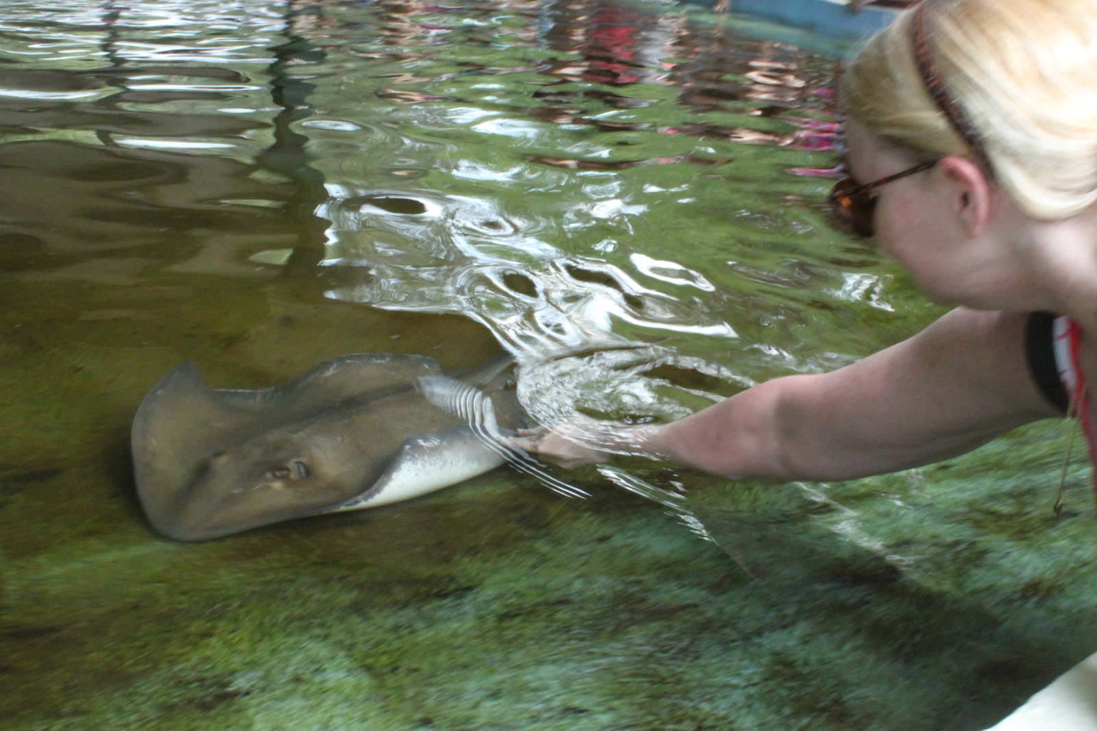 5/22/2011 stingray bay