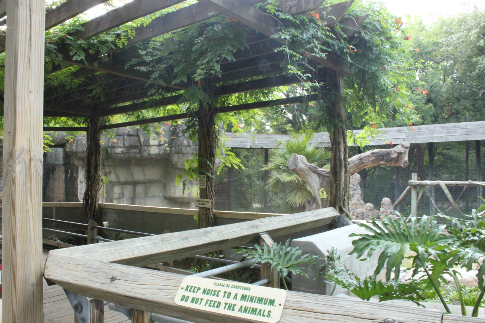 5/22/2011 viewing shade structure overlooking chimpanzee