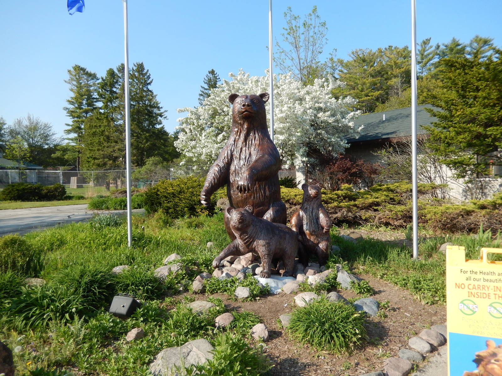 5/22/2016 - Bear Statues
