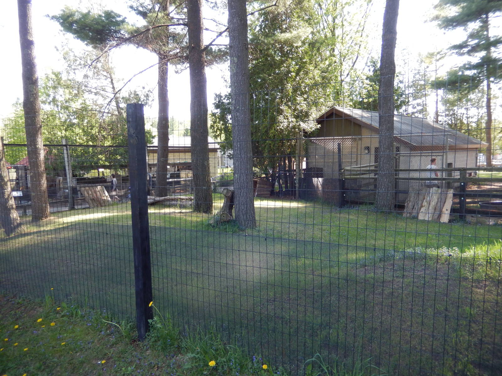 5/22/2016 - Blue Duiker Habitat