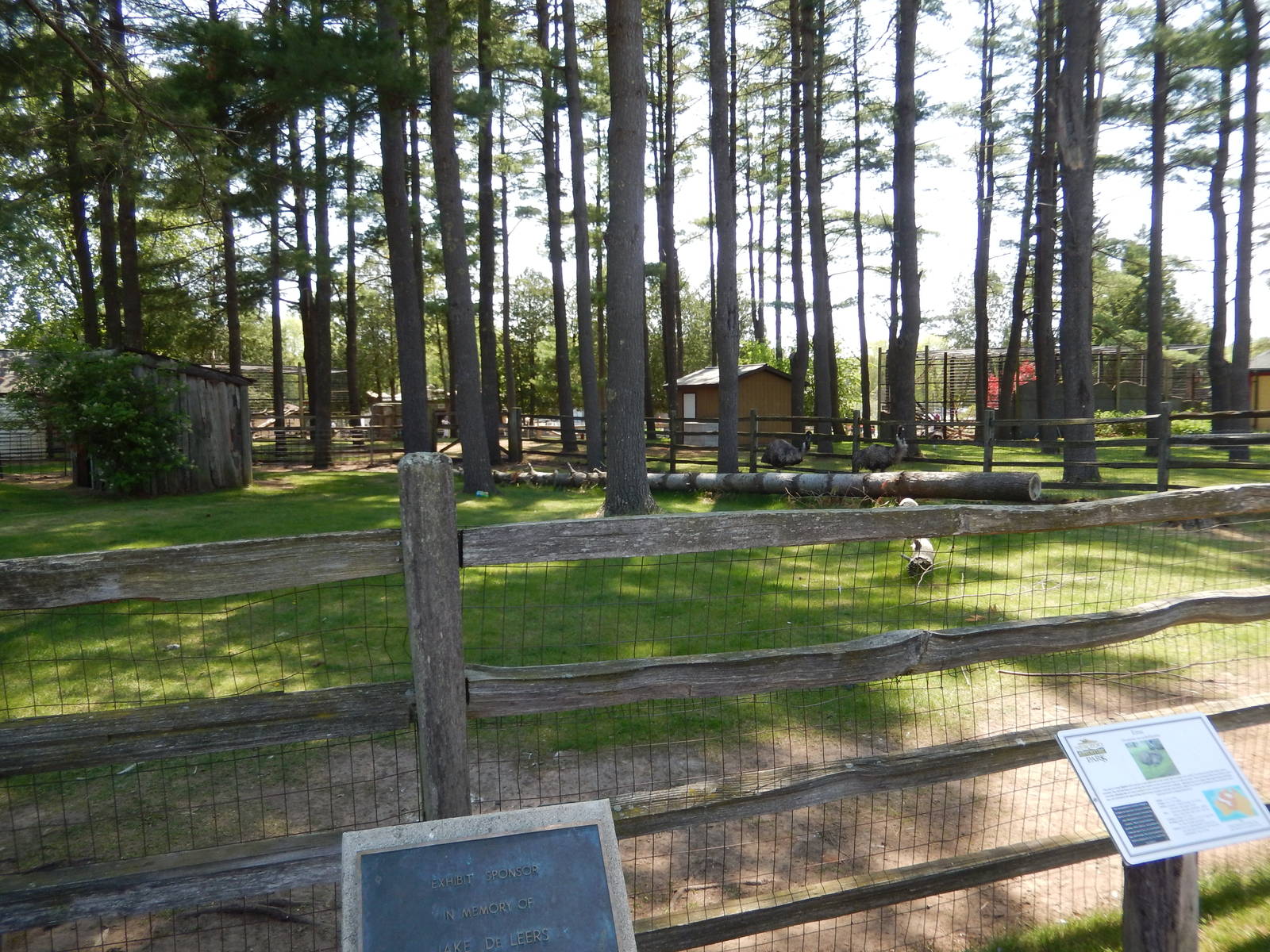 5/22/2016 - Emu Exhibit