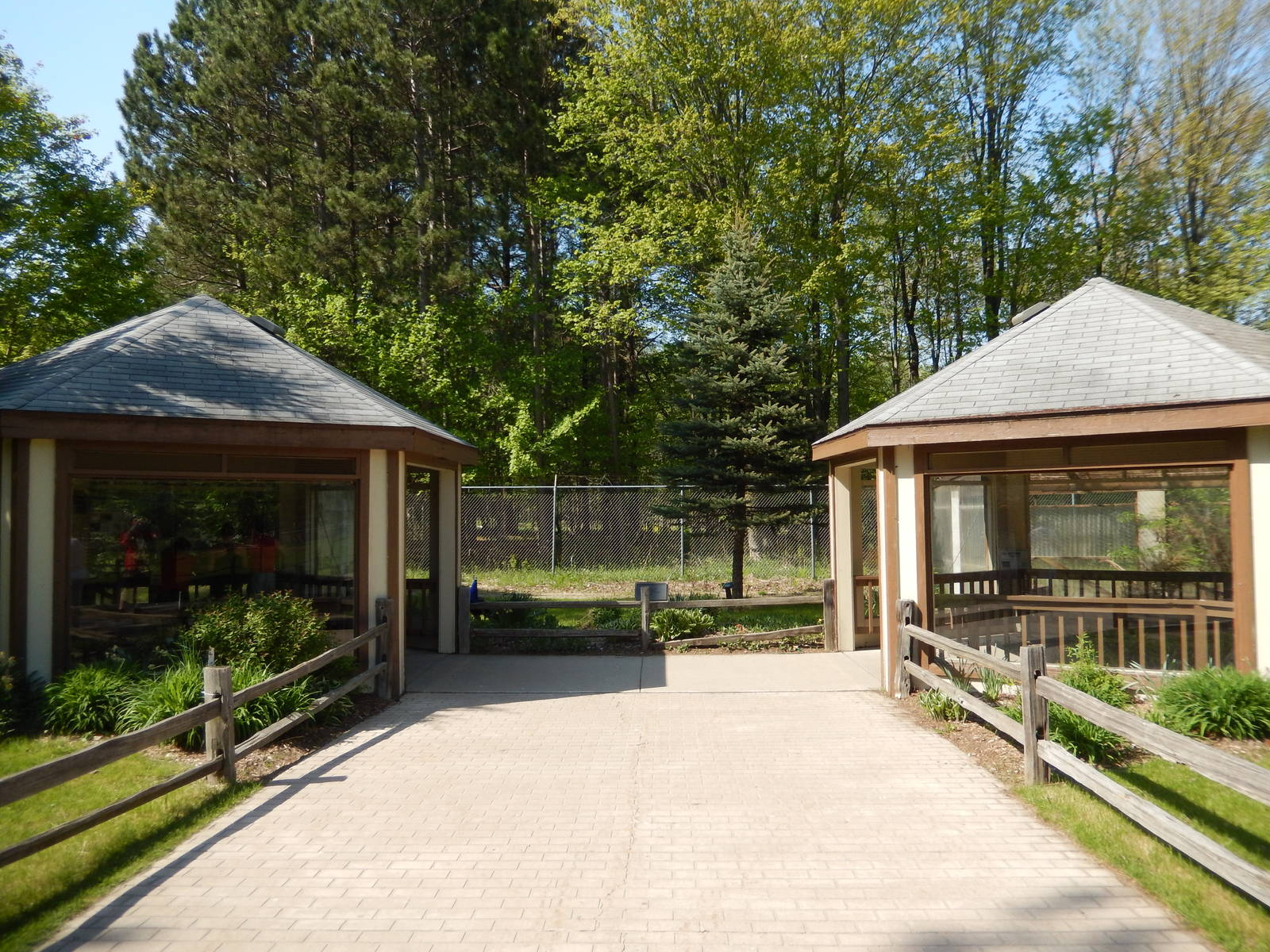 5/22/2016 - Game Bird Aviaries