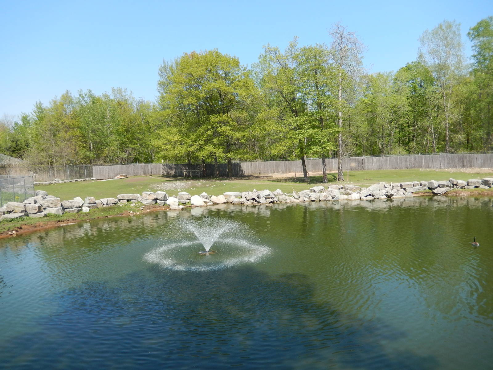 5/22/2016 - North American Plains (Left Third)