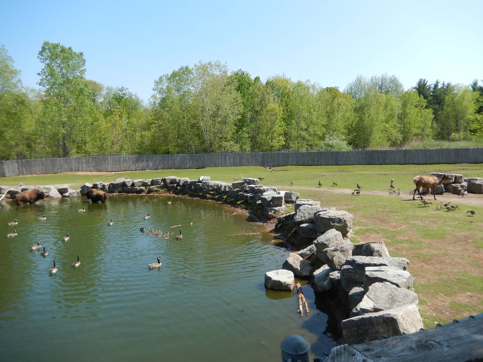 5/22/2016 - North American Plains (Middle Third)