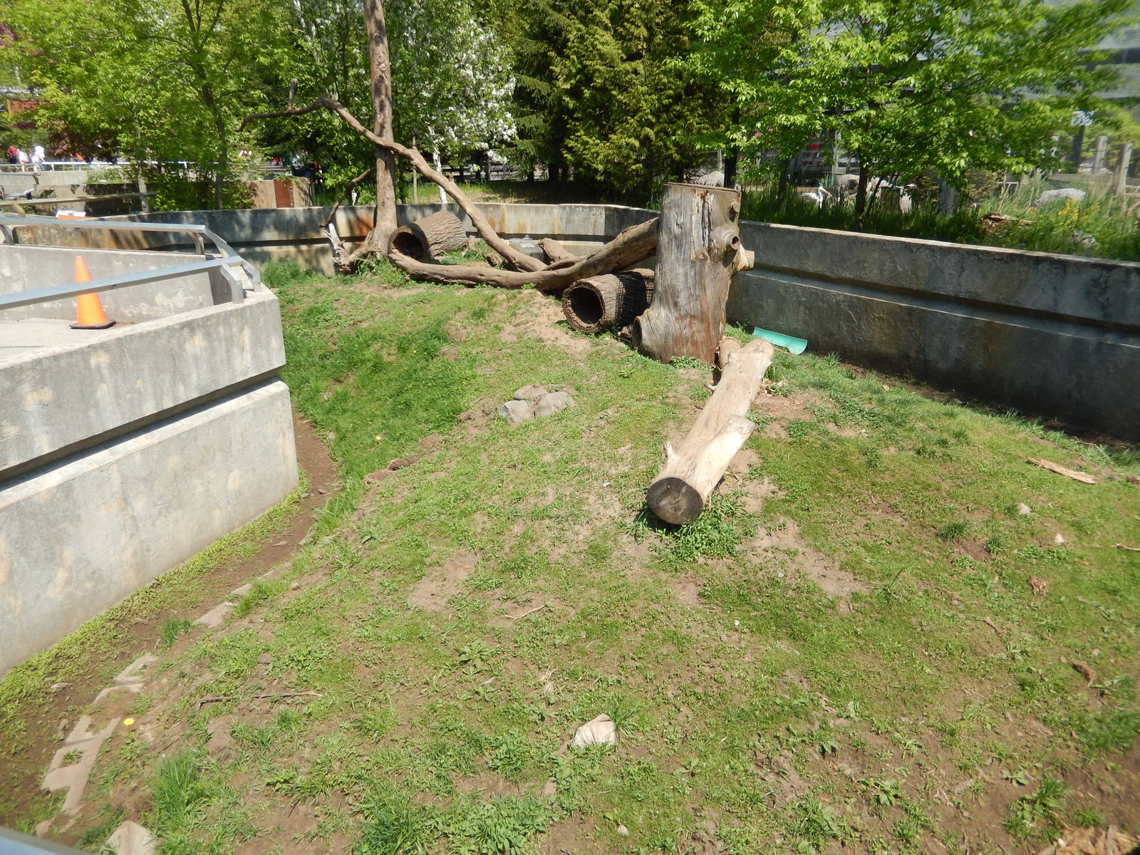 5/22/2016 - Raccoon Exhibit