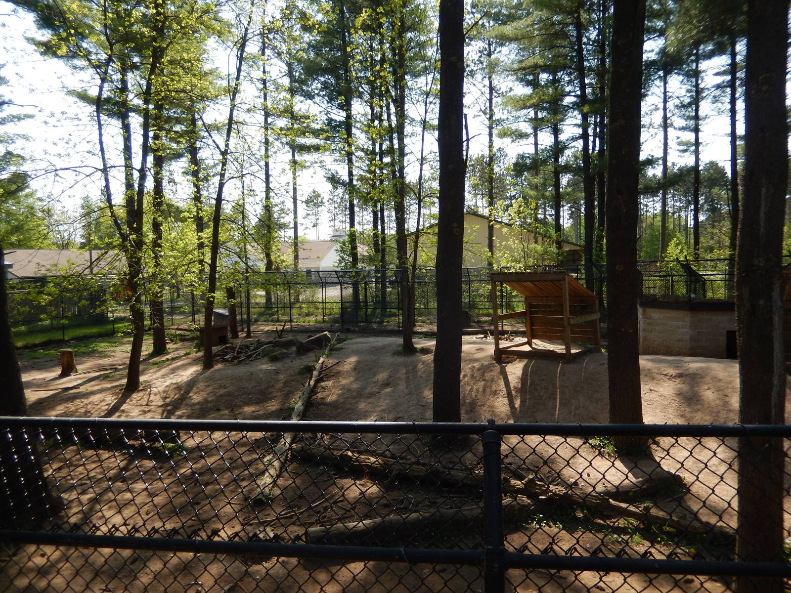 5/22/2016 - Red Wolf Habitat