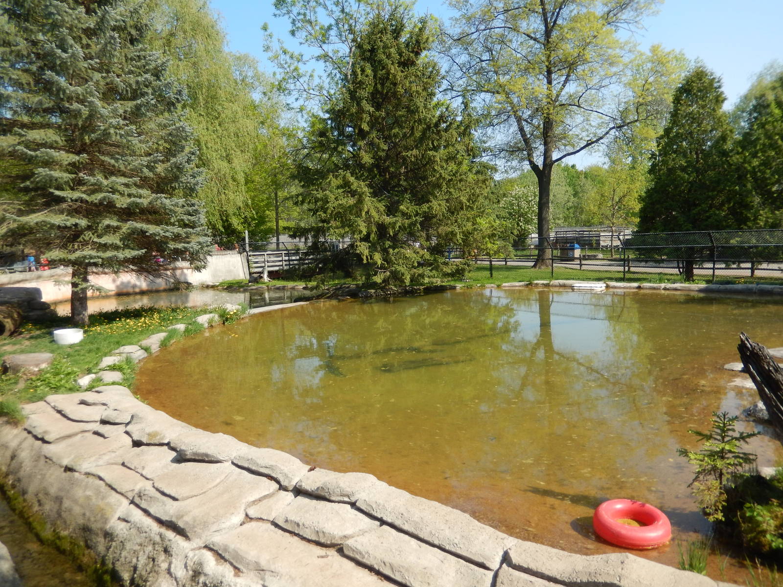 5/22/2016 - River Otter Habitat