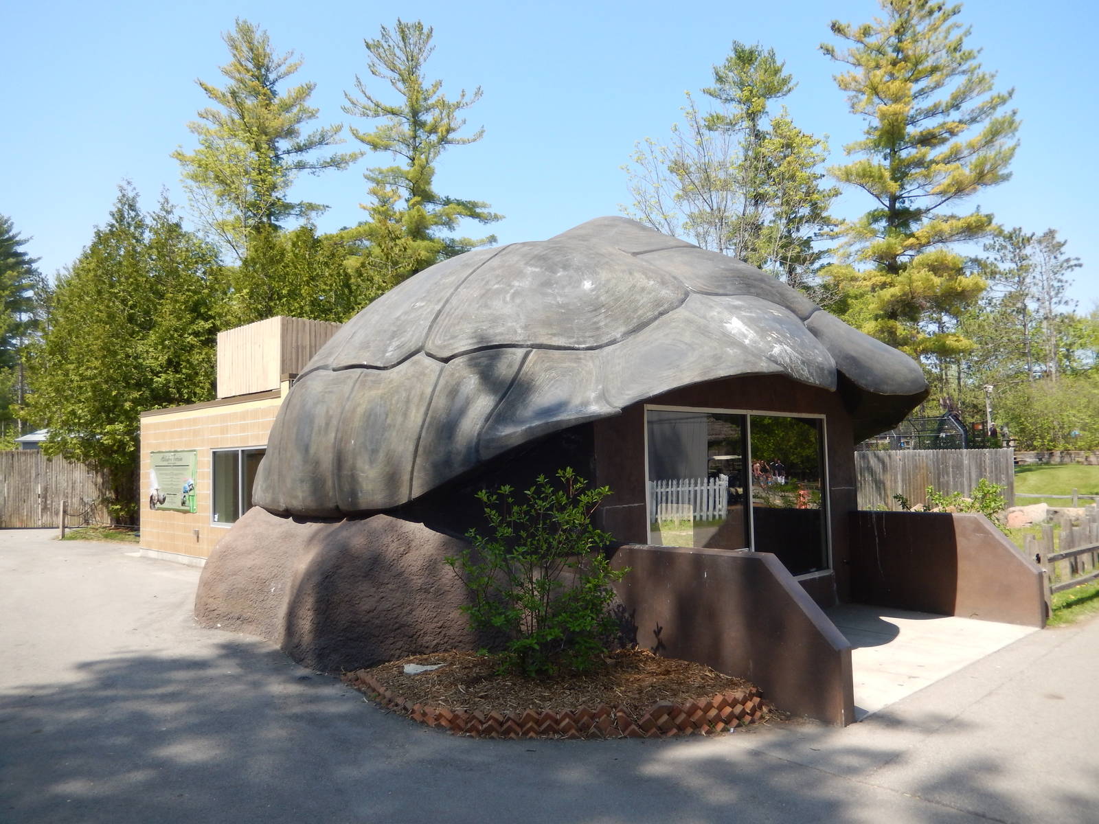 5/22/2016 - Tortoise Building with Indoor Viewing
