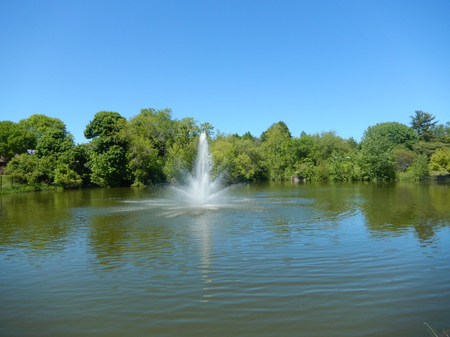 5/25/2024 - Beautiful Fountain Scene
