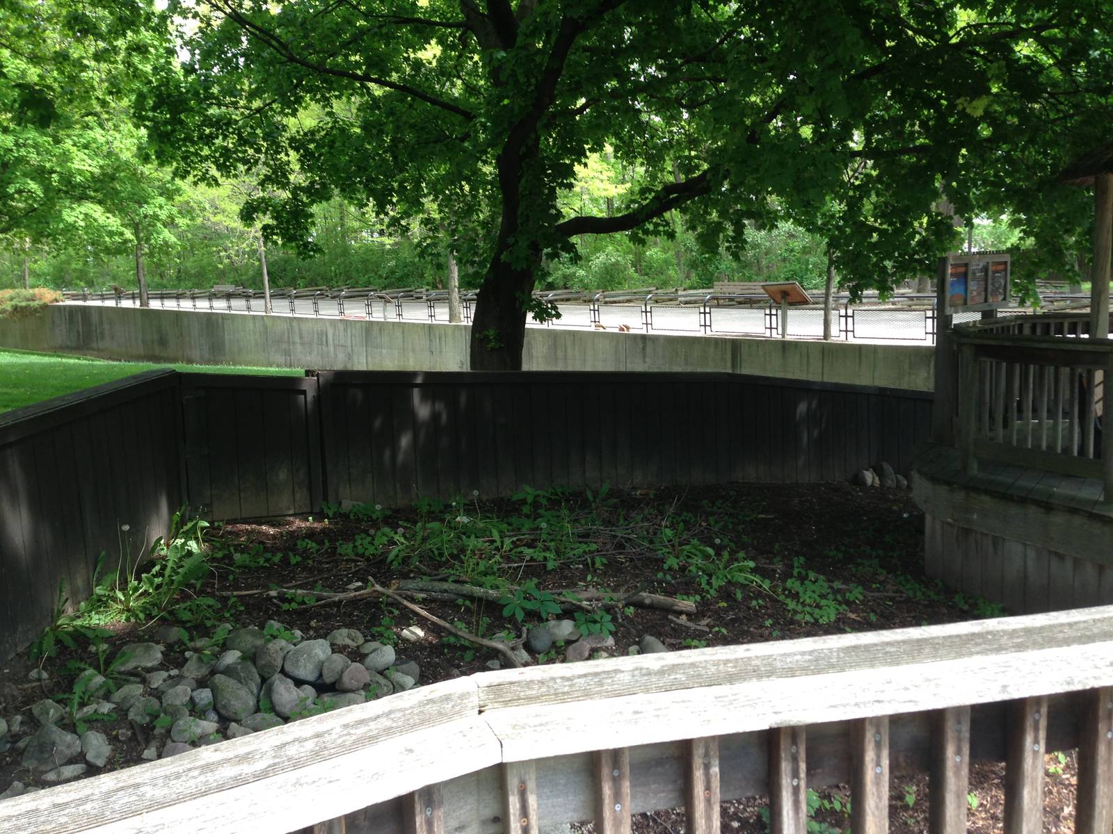 5/28/2014 - Former Koala Exhibit