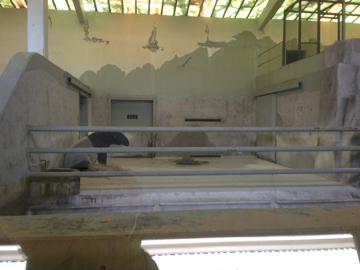 5/28/2014 - Indoor Malayan Tapir Exhibit