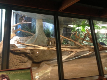 5/28/2014 - Mandrill Exhibit