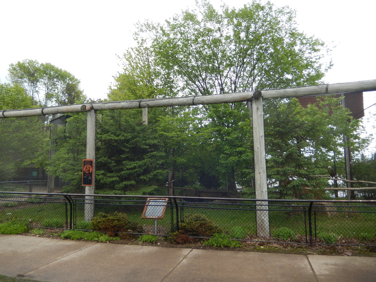 5/28/2022 - Bald Eagle & Rough-Legged Hawk Habitat