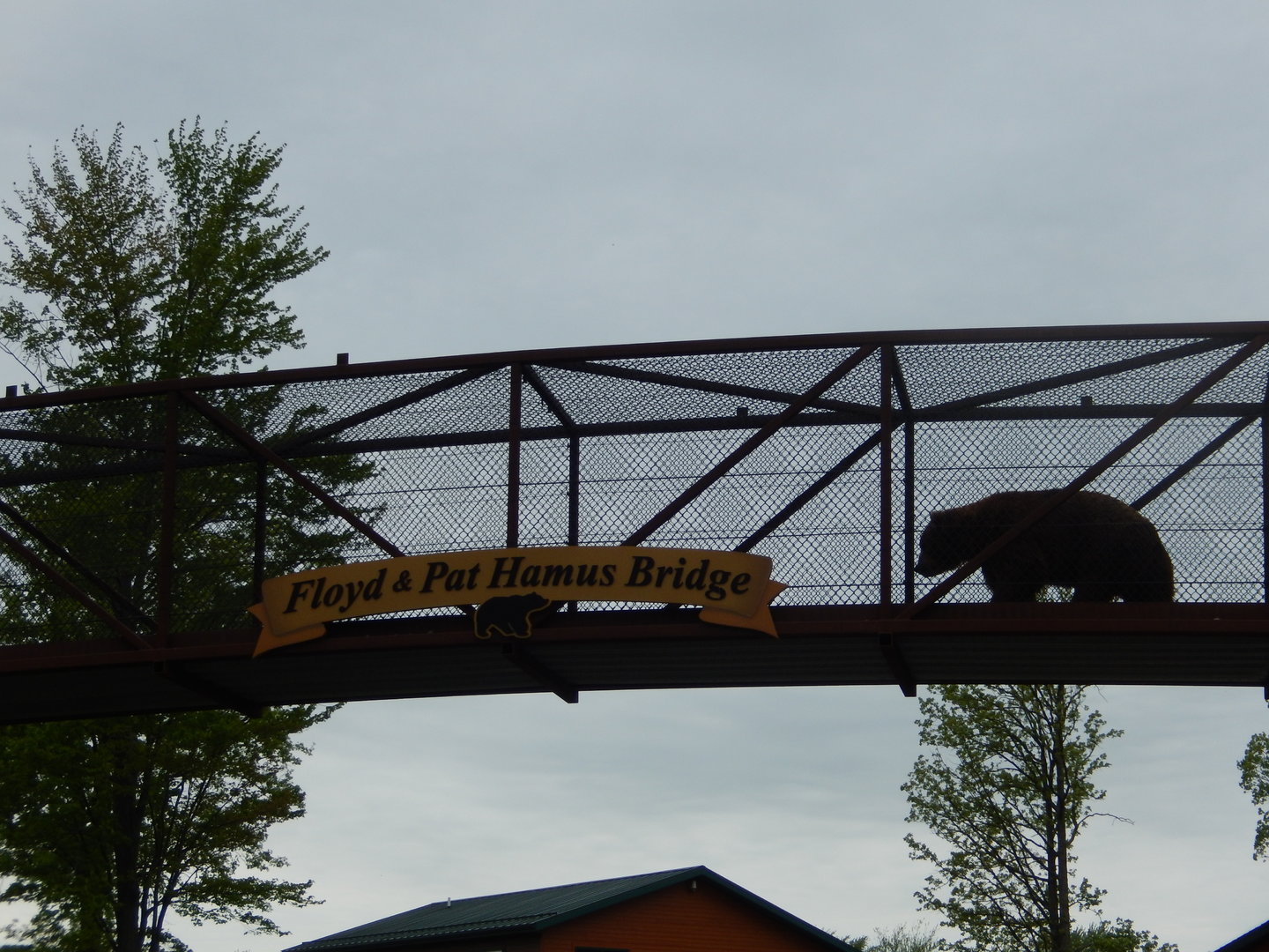 5/28/2022 - Bear Bridge