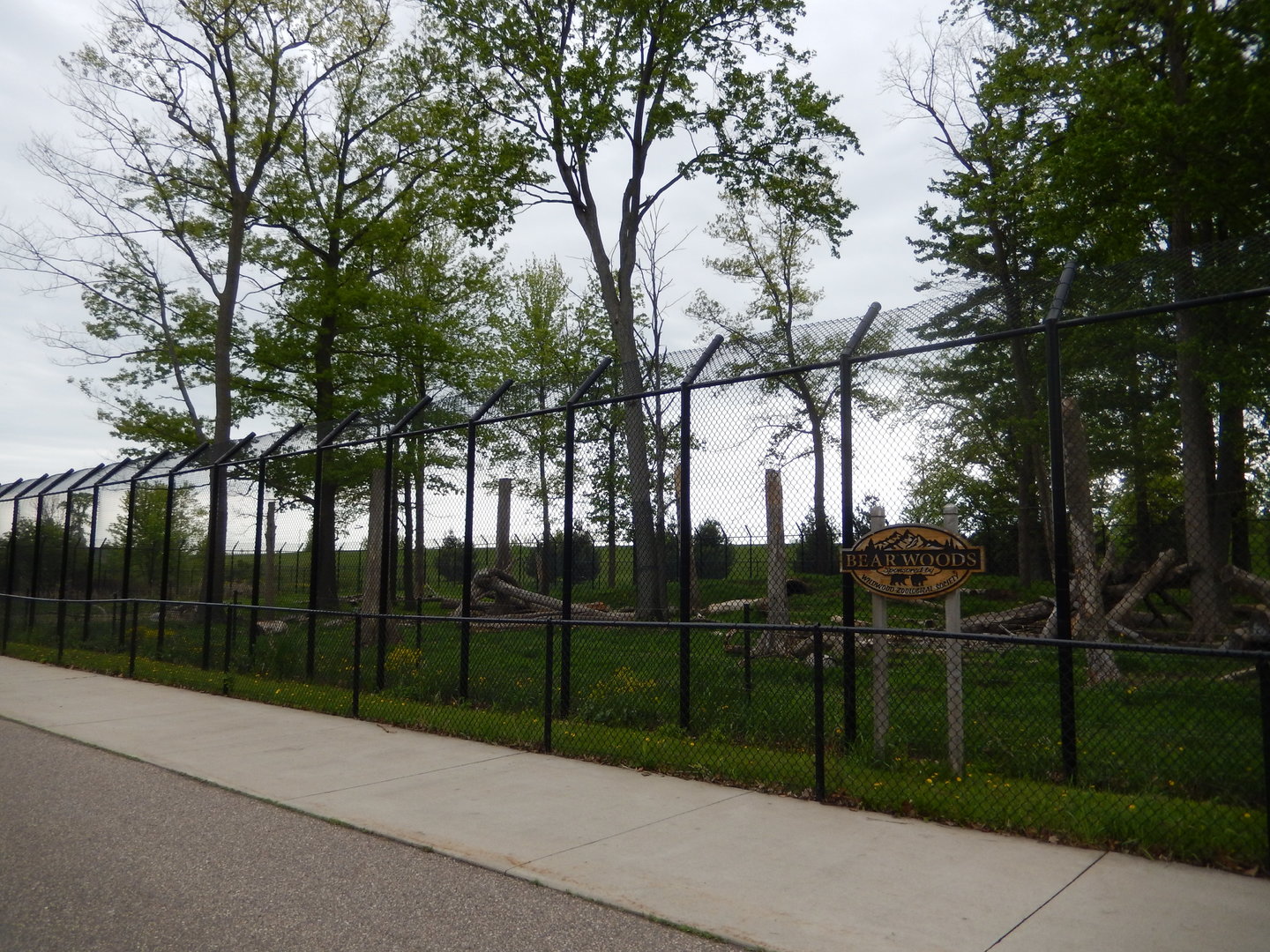 5/28/2022 - Bear Woods