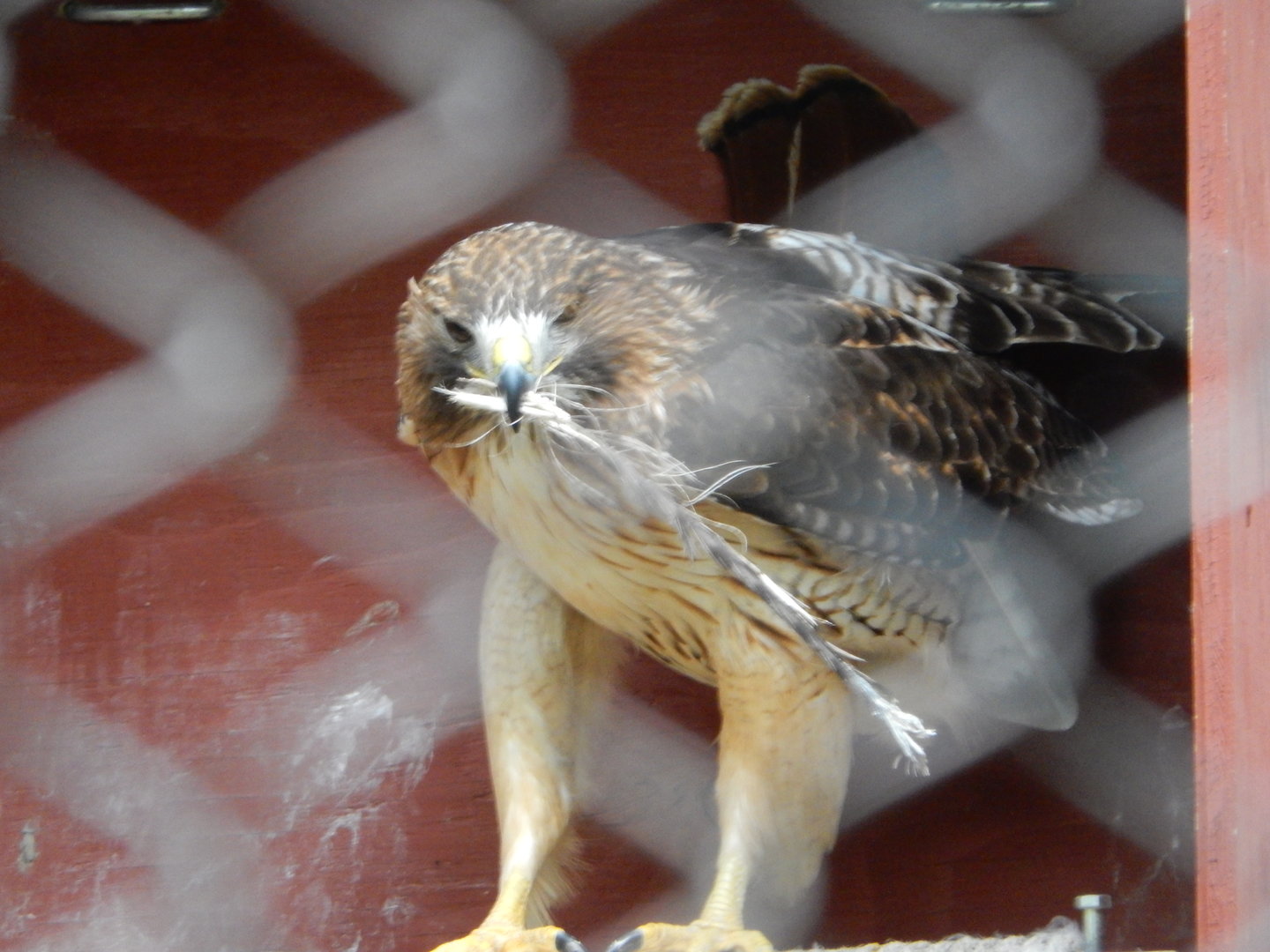 5/28/2022 - What Am I Supposed To Do With This?