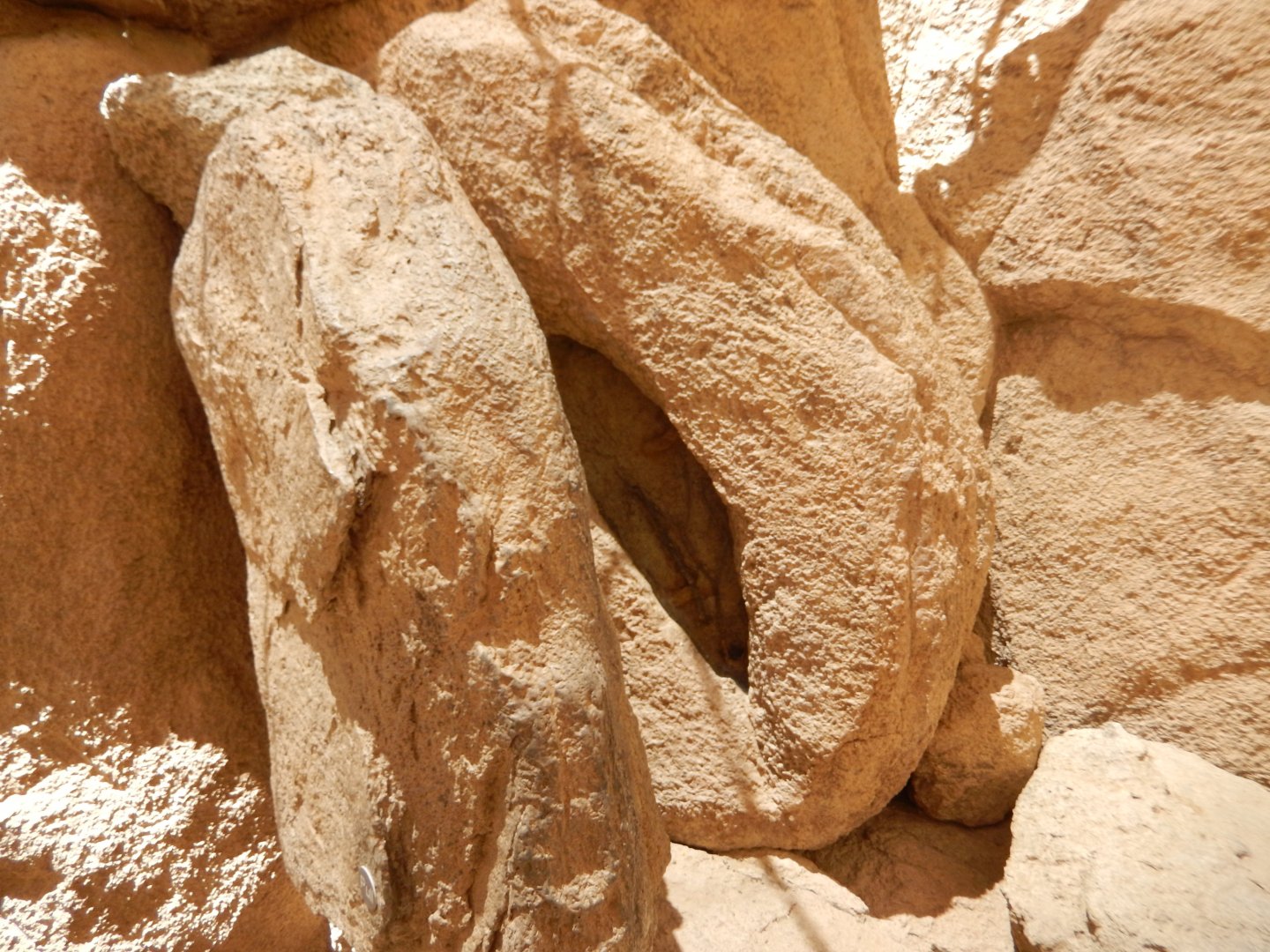 5/8/2022 - Aaah! A Scorpion!