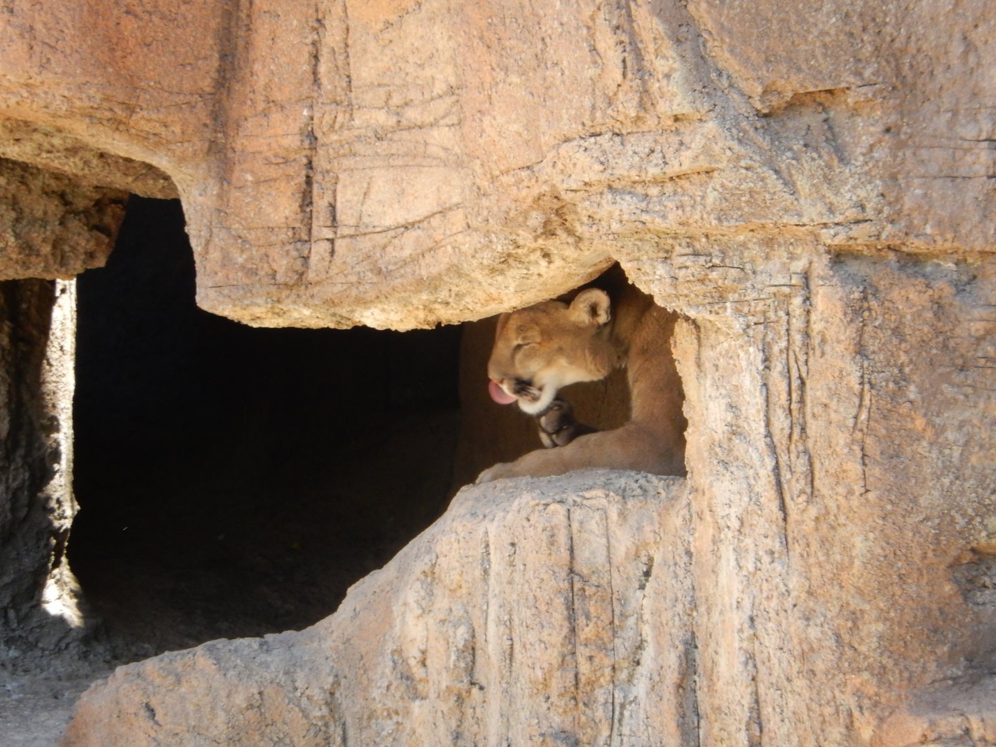 5/8/2022 - Beating the Heat