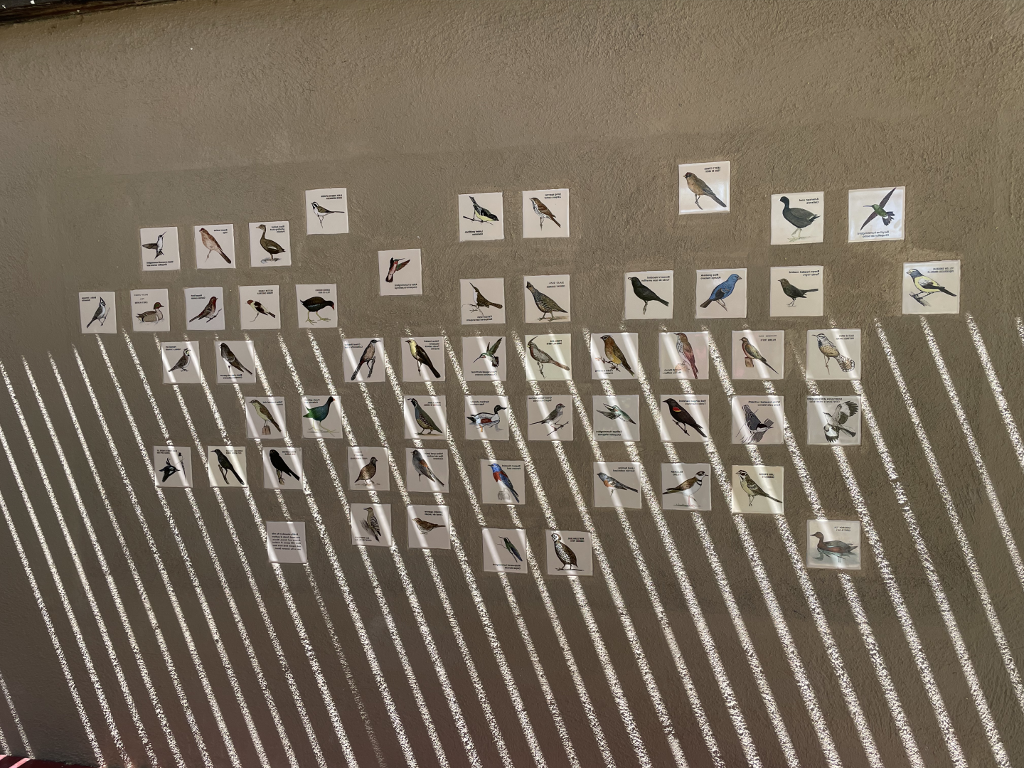 5/8/2022 - Bird Tiles