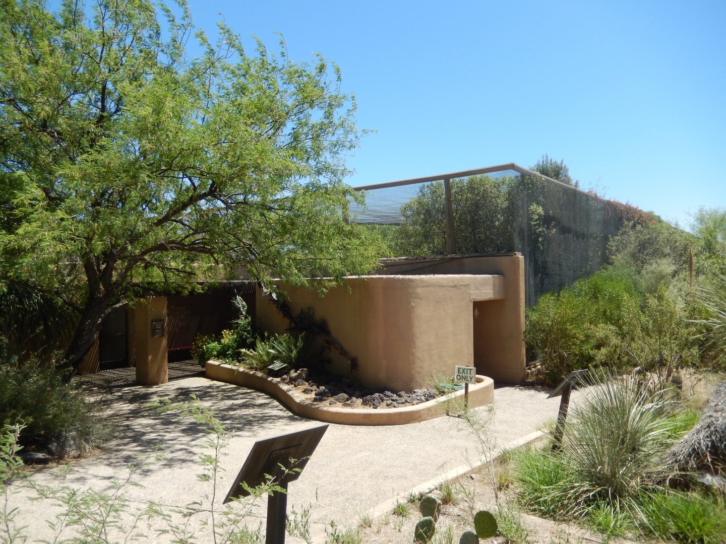 5/8/2022 - Birds of the Sonoran Desert Aviary