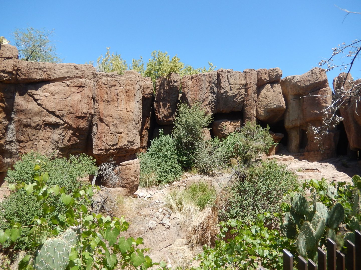 5/8/2022 - Cougar Habitat