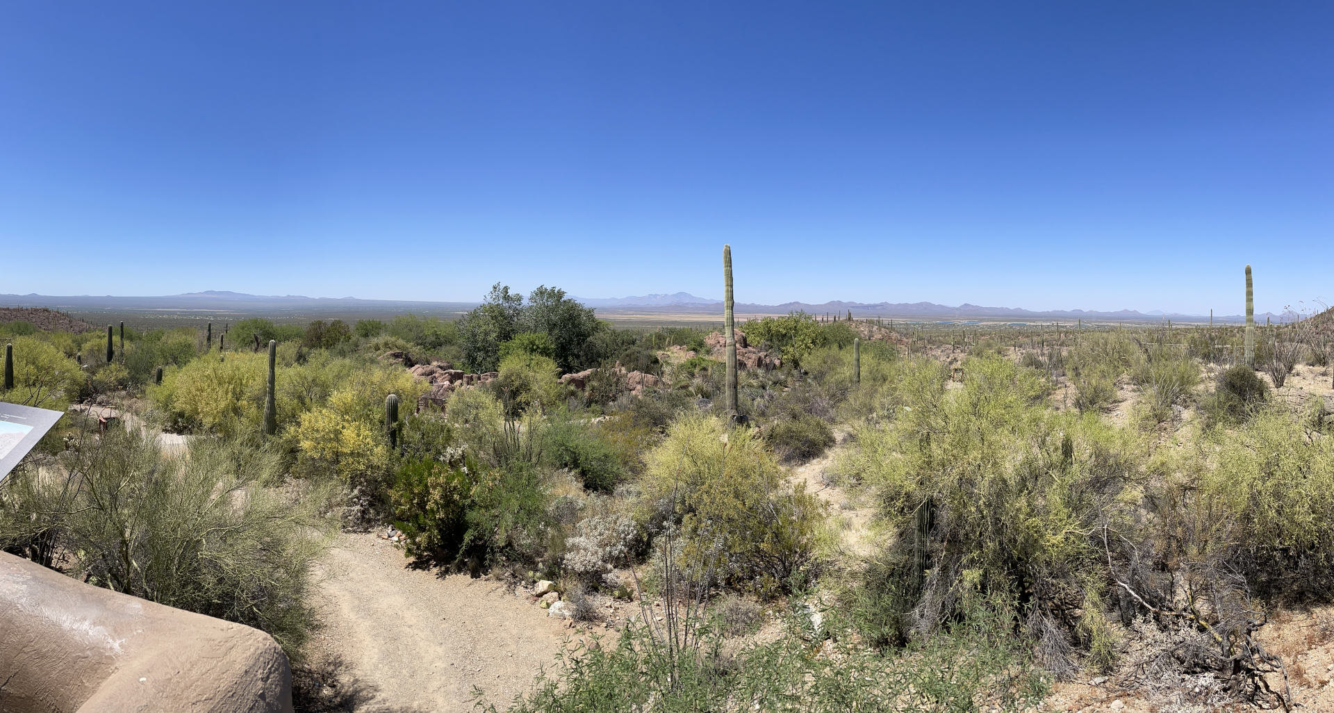 5/8/2022 - General View of Desert Loop Trail