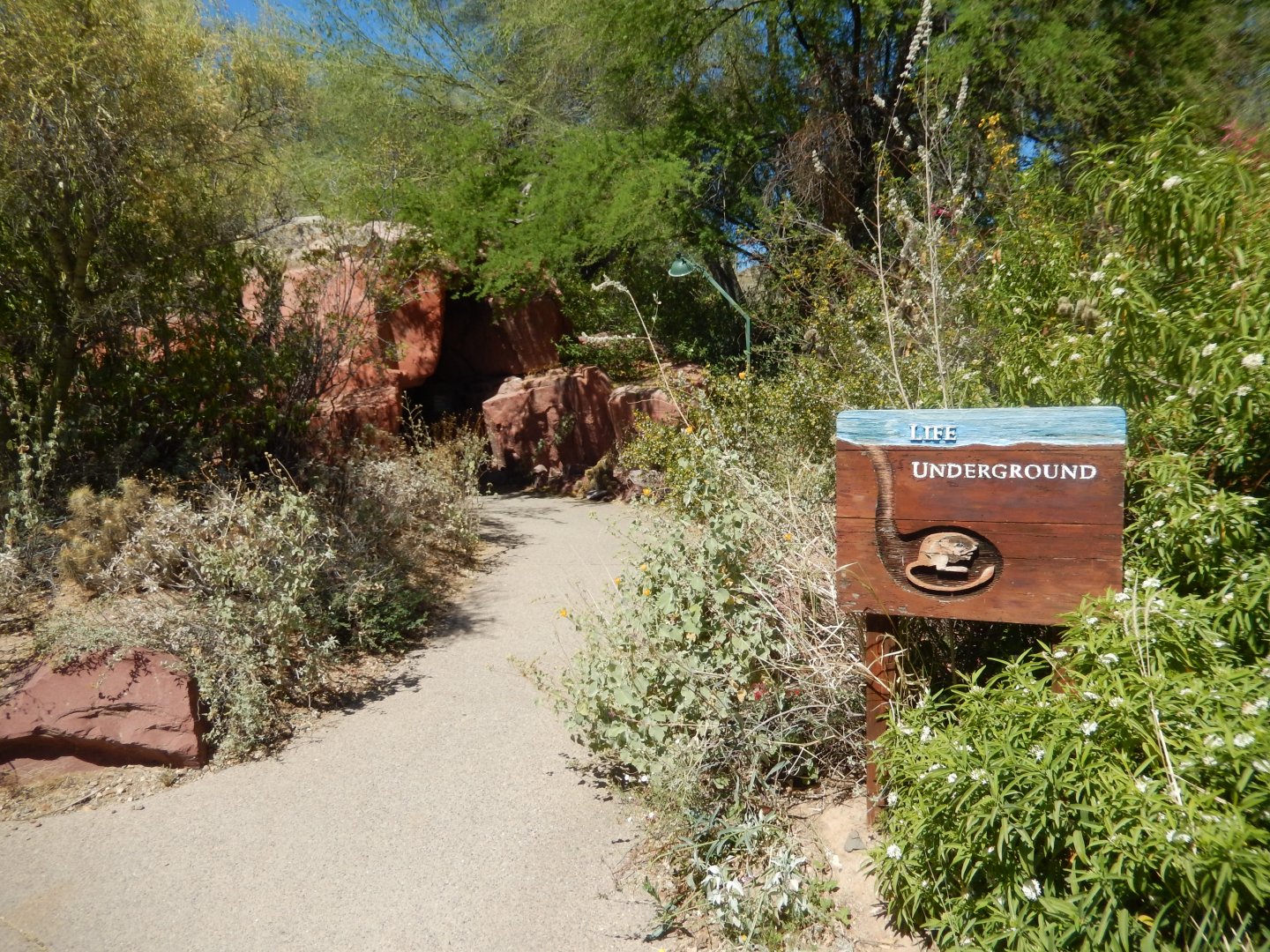 5/8/2022 - Heading Towards Life Underground