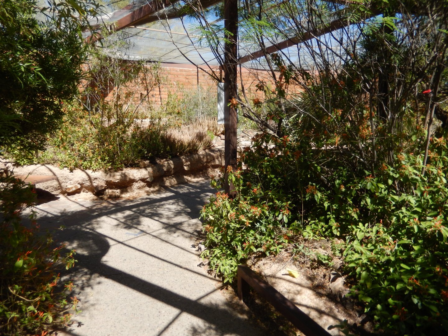5/8/2022 - Hummingbird Aviary - General View
